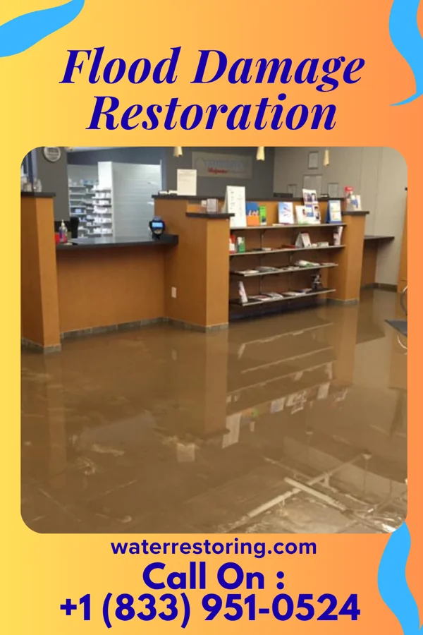 Flood Damage Restoration in Warwick, GA