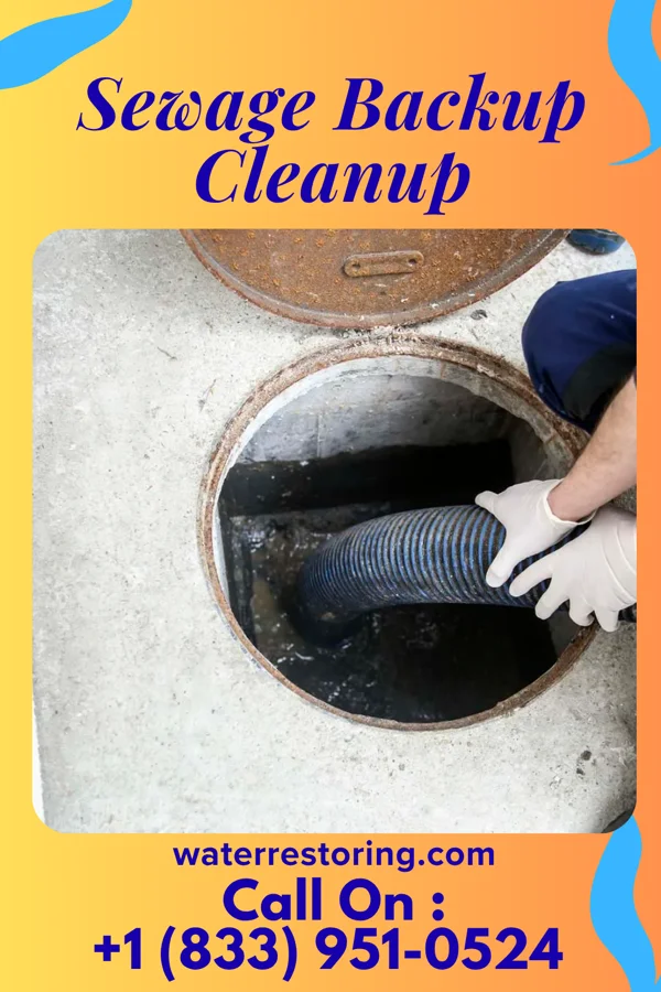 Sewage Backup Cleanup in Warwick, GA